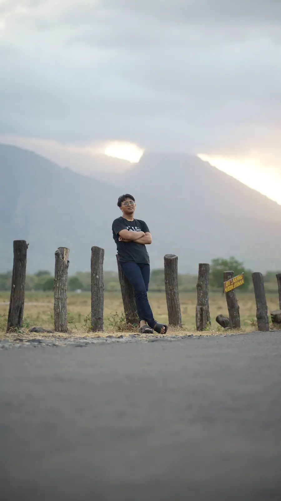 A person standing beside roadside posts with mountains behind
