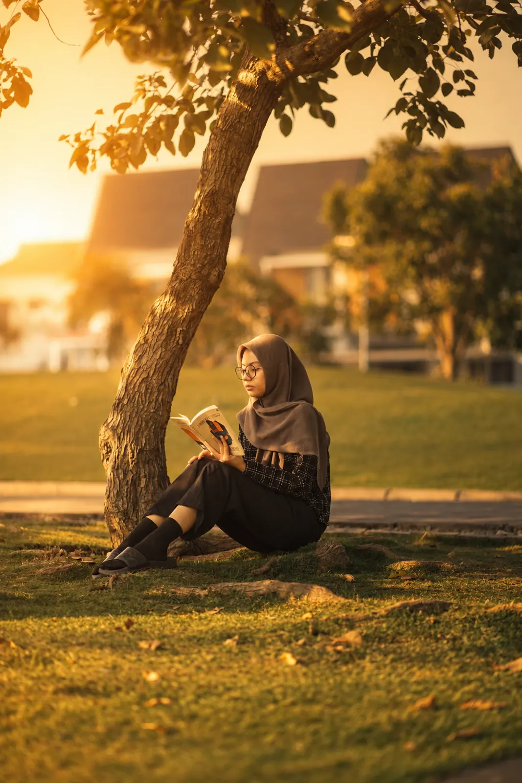 Woman reading under a tree at golden hour